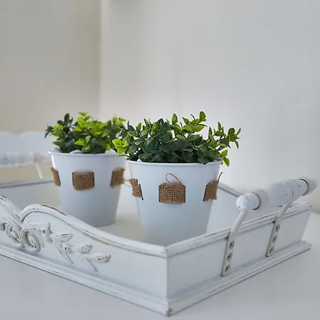 Aelia Áyios Pétros