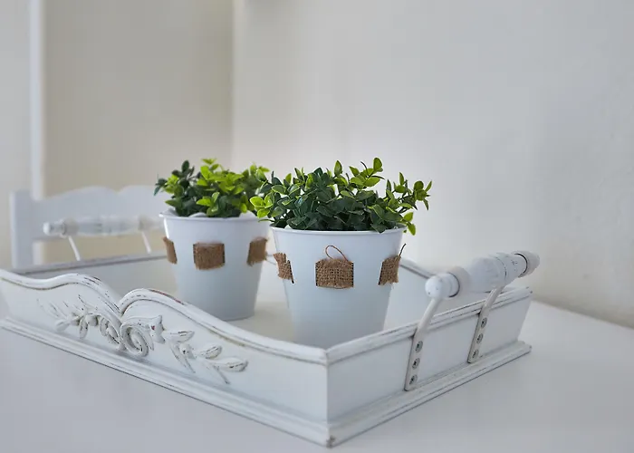 Aelia Áyios Pétros