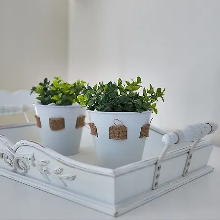 Aelia Apartment